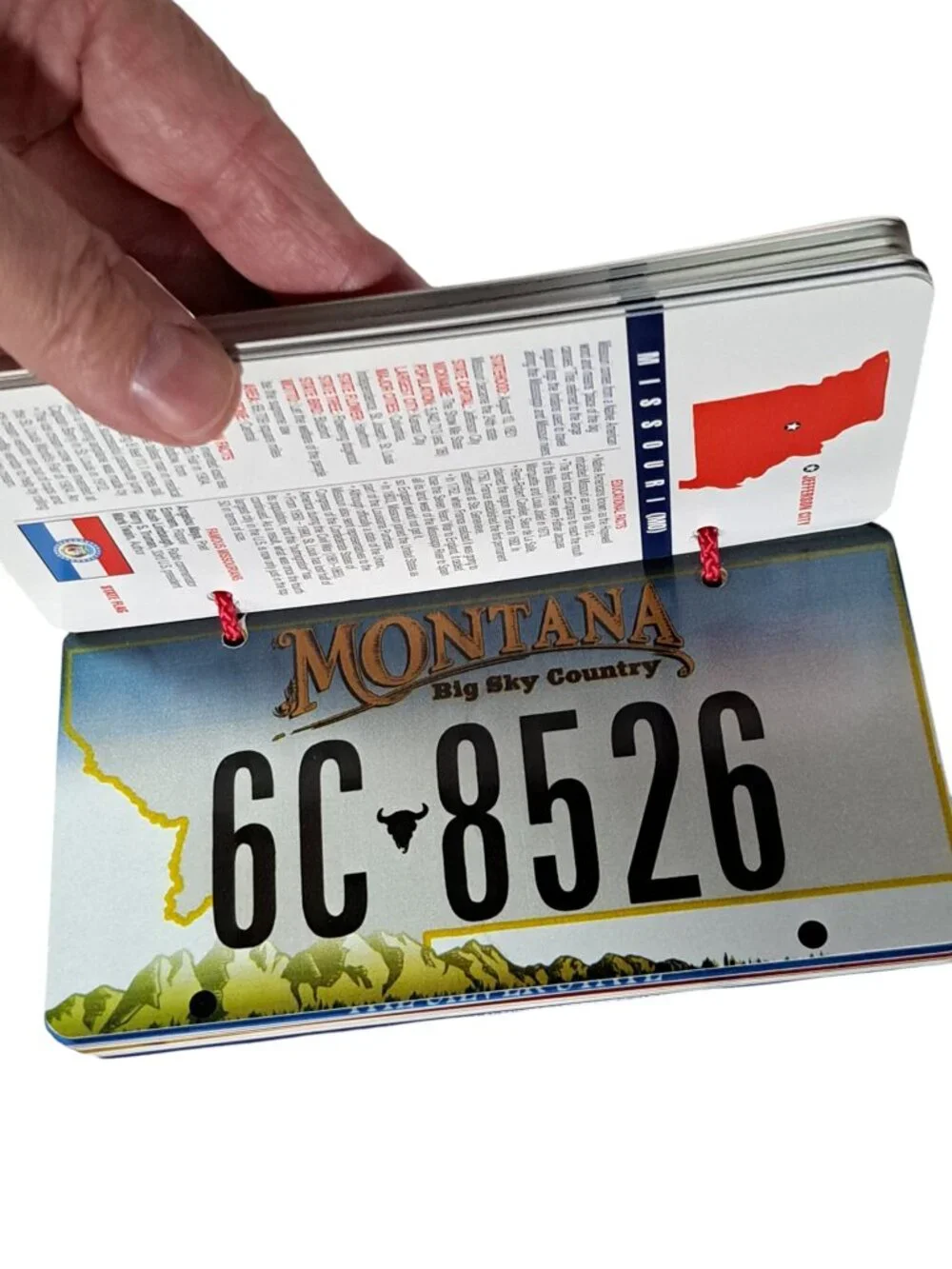 Nifty Plates from the Fifty States Game in Magnetic Close Box